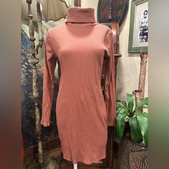 EUC WILD FABLE RIBBED BODYCON LONG SLEEVE TURTKE NECK BLUSH  COLOR MINI DRESS - Picture 1 of 5